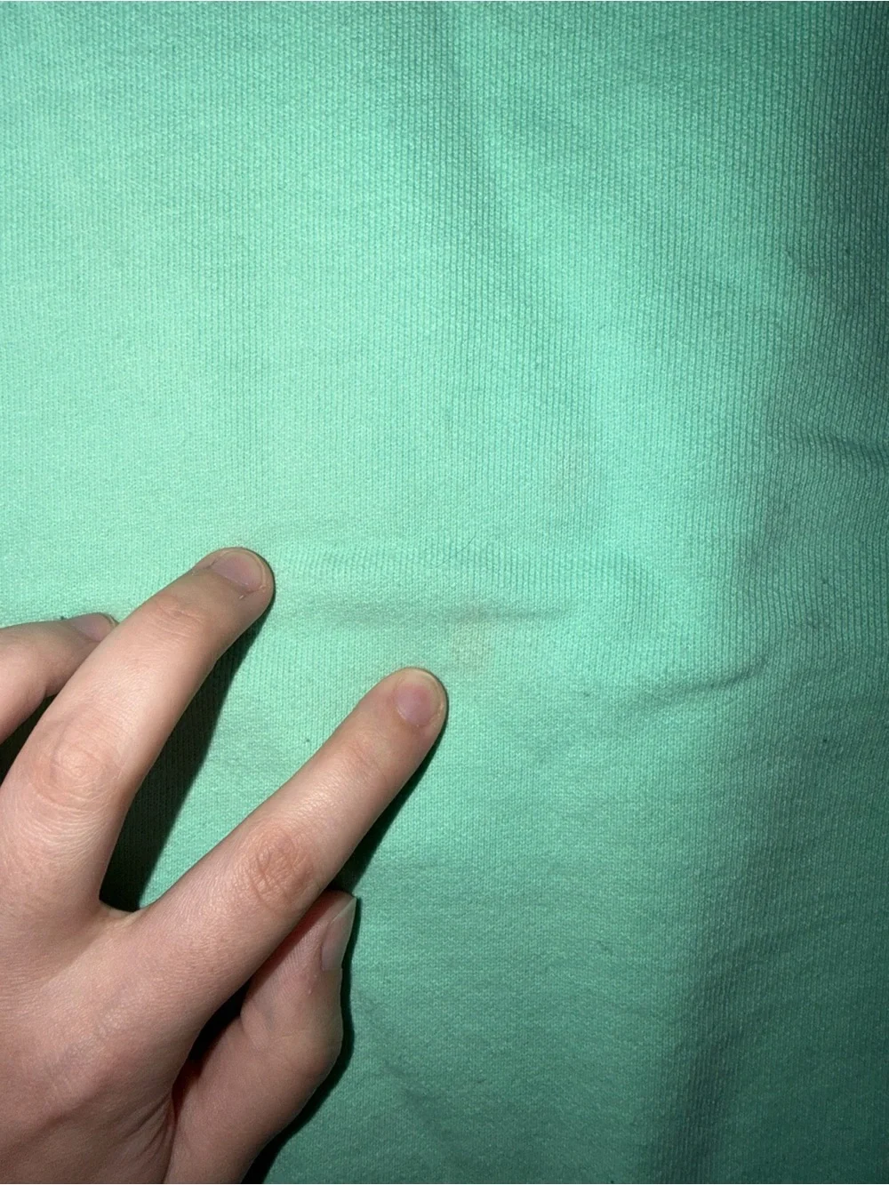 Comfort Colors Mint Green Crewneck Sweatshirt with Front Text